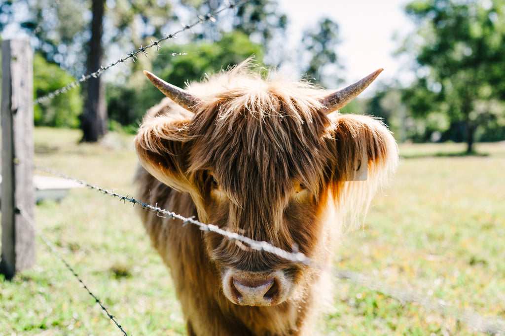 POMONA PRIVATE PROPERTY